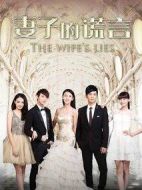 妻子的謊言劇情介紹(1-52全集)