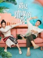 遇見璀璨的你劇情介紹(1-43全集)