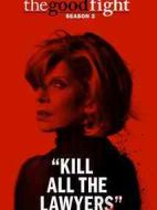 傲骨之戰(zhàn)第二季劇情介紹(1-13全集)