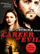 神探斯特萊克第二季