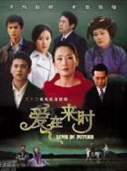 愛(ài)在來(lái)時(shí)劇情介紹(1-22全集)