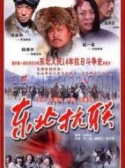 東北抗聯(lián)劇情介紹(1-22全集)