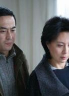 婚姻背后劇情介紹(1-20全集)