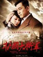 護(hù)國大將軍劇情介紹(1-31全集)