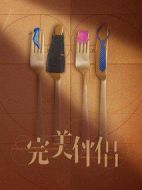 完美伴侶劇情介紹(1-46全集)