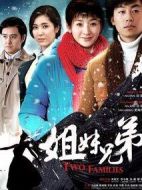 姐妹兄弟劇情介紹(1-42全集)