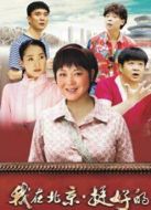 我在北京挺好的劇情介紹(1-37全集)