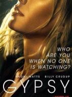 吉普賽人劇情介紹(1-10全集)