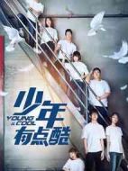 少年有點酷劇情介紹(1-12全集)