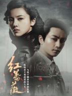 紅薔薇[DVD版]劇情介紹(1-49全集)