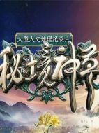 秘境神草海報(bào)