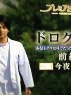 頑皮醫(yī)生劇情介紹(1-2全集)