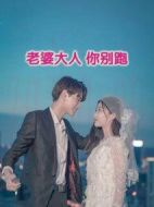 老婆大人你別跑劇情介紹(1-16全集)