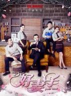 好妻子劇情介紹(1-56全集)