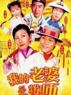 我的老婆是狀師劇情介紹(1-全集)