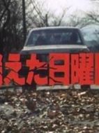 消失的星期天劇情介紹(1-全集)