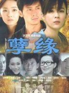 孽緣劇情介紹(1-25全集)