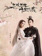 烽火硝煙里的青春劇情介紹(1-26全集)