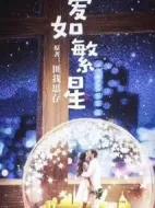 愛如繁星劇情介紹(1-40全集)