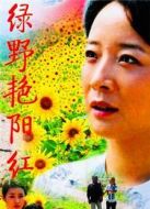 綠野艷陽紅劇情介紹(1-24全集)