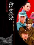 沙家浜劇情介紹(1-30全集)