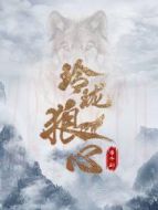 玲瓏狼心 番外劇劇情介紹(1-39全集)