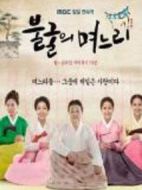 不屈的兒媳劇情介紹(1-113全集)