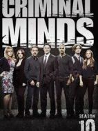 犯罪心理第十季劇情介紹(1-23全集)