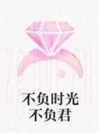 不負(fù)時(shí)光不負(fù)君劇情介紹(1-24全集)