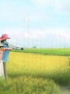 我的田園女友劇情介紹(1-24全集)