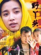 野丫頭劇情介紹(1-20全集)