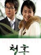 求婚劇情介紹(1-140全集)