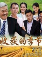 收獲的季節(jié)劇情介紹(1-30全集)