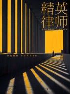 精英律師劇情介紹(1-45全集)