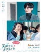 完美先生和差不多小姐 速享版劇情介紹(1-23全集)