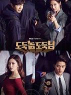 小偷家伙，小偷大人劇情介紹(1-50全集)