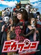 小汪刑事特別任務(wù)劇情介紹(1-1全集)