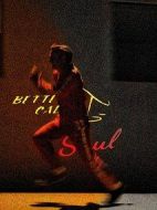 風(fēng)騷律師第五季