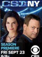 犯罪現(xiàn)場(chǎng)調(diào)查：紐約第八季劇情介紹(1-18全集)
