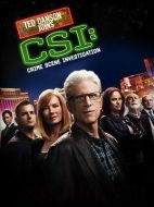 犯罪現(xiàn)場調(diào)查第十二季劇情介紹(1-22全集)