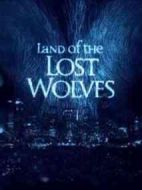 狼群失落的領(lǐng)地劇情介紹(1-2全集)