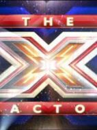 英國偶像第八季劇情介紹(1-31全集)