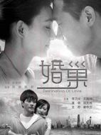 婚巢劇情介紹(1-34全集)