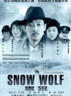 雪狼劇情介紹(1-25全集)