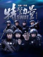 特警力量湖南海報