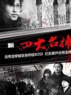 新四大名捕劇情介紹(1-24全集)