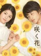 開到世界盡頭的花