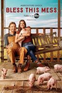 節(jié)上生枝第二季劇情介紹(1-6全集)