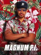 新夏威夷神探第二季劇情介紹(1-13全集)