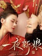 一夜新娘劇情介紹(1-24全集)